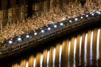 Riverwalk Lights